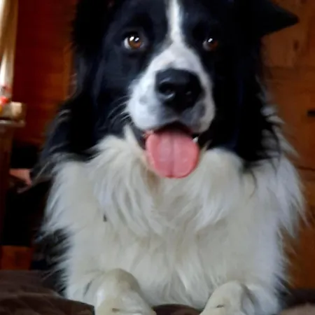 Mittagsspitz Am Bauernhof アパート *