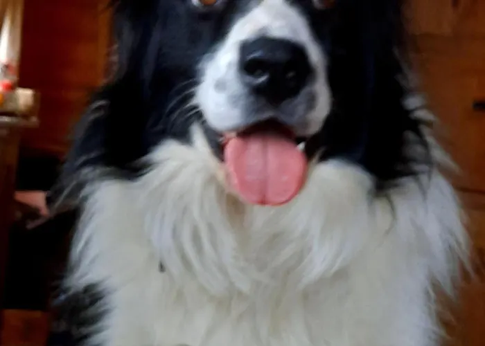 Mittagsspitz Am Bauernhof Apartament *